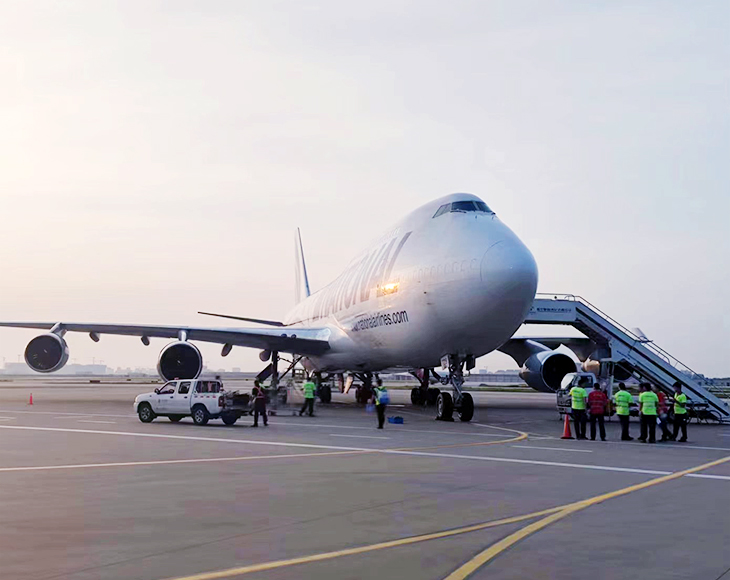 ¿Qué tipo de carga se puede transportar por vía aérea?